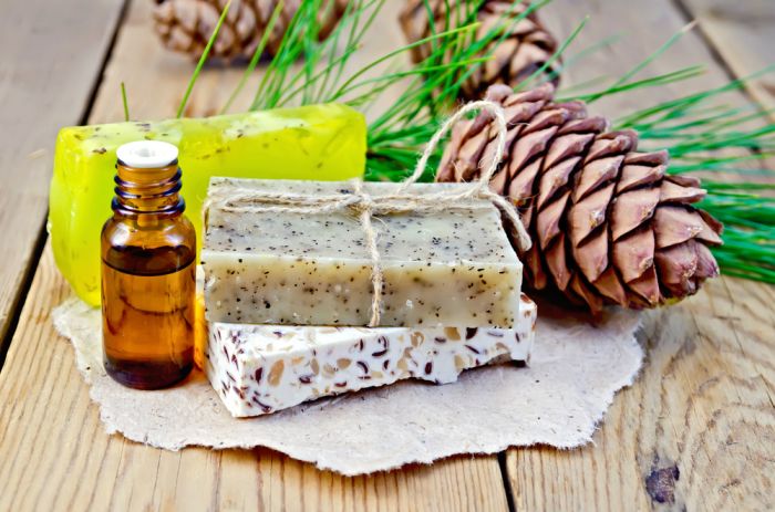 Хвойные друзья русской бани. Кедр Хвойные друзья русской бани. Кедр